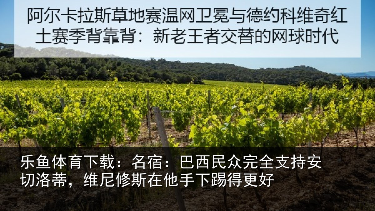 乐鱼体育下载：名宿：巴西民众完全支持安切洛蒂，维尼修斯在他手下踢得更好