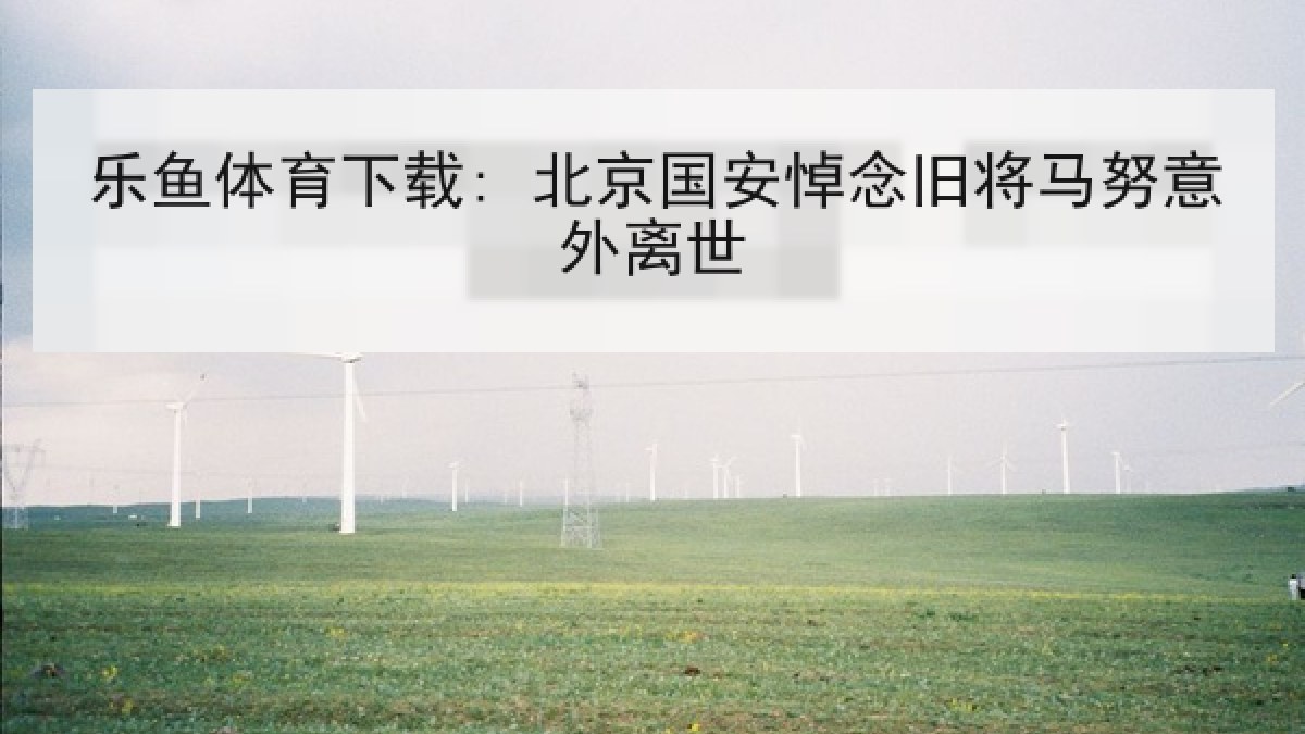乐鱼体育下载: 北京国安悼念旧将马努意外离世