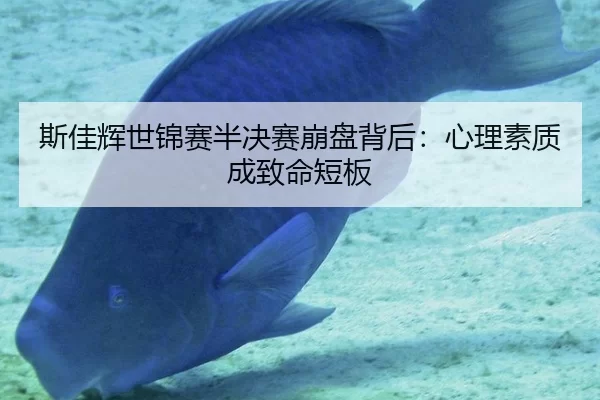 斯佳辉世锦赛半决赛崩盘背后：心理素质成致命短板